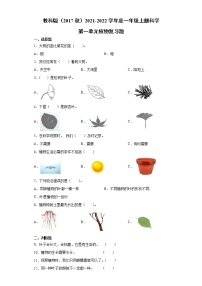 小学科学植物综合与测试当堂检测题