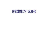 1.9它们发生了什么变化课件PPT