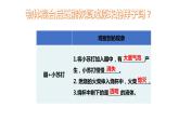 1.9它们发生了什么变化课件PPT