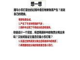 1.9它们发生了什么变化课件PPT