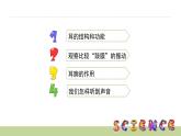 3.6我们是怎样听到声音的课件PPT