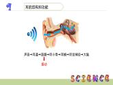 3.6我们是怎样听到声音的课件PPT