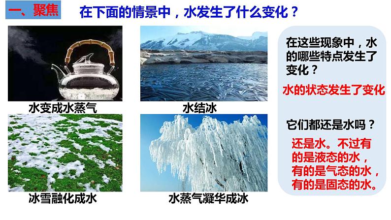 教科版科学三年级上册1.8 它们发生了什么变化（课件）第2页