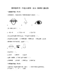 科学一年级上册植物综合与测试测试题