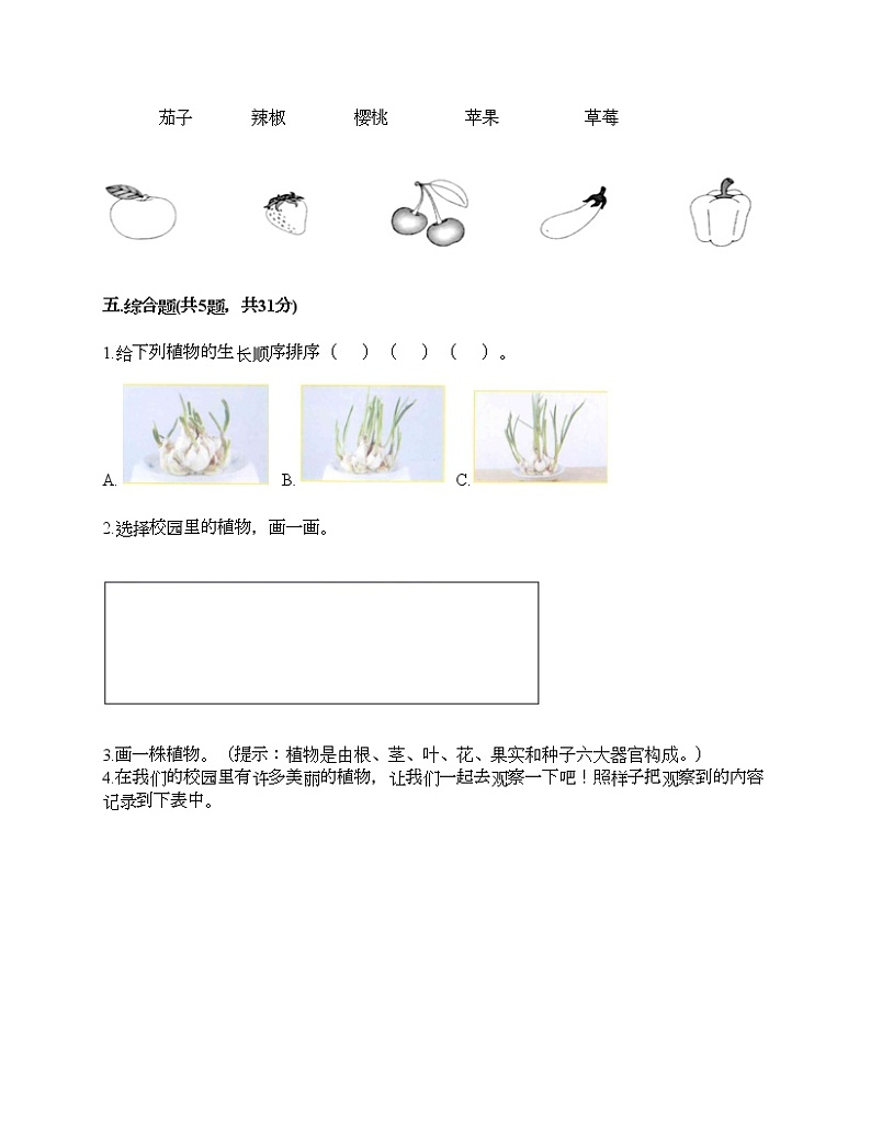 教科版科学一年级上册第一单元《植物》测试卷及答案1套第3页