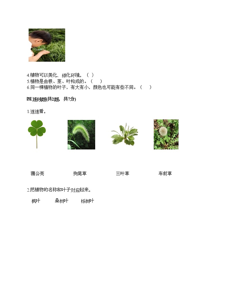 教科版科学一年级上册第一单元《植物》测试卷新版第3页