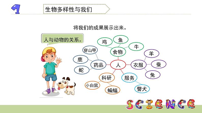 4.7生物多样性的意义课件PPT第7页