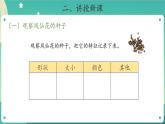 4 播种发芽 PPT课件+教案+素材