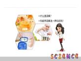2.1水能溶解一些物質(zhì)課件PPT