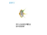 3.7保護(hù)我們的聽(tīng)力課件PPT