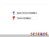 2.4不同物質(zhì)在水中的溶解能力課件PPT