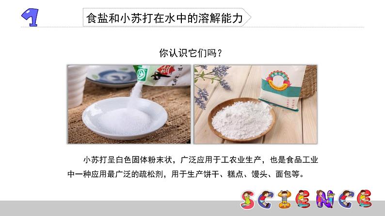 2.4不同物质在水中的溶解能力课件PPT第3页