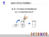 2.4不同物質(zhì)在水中的溶解能力課件PPT