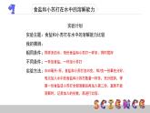 2.4不同物質(zhì)在水中的溶解能力課件PPT