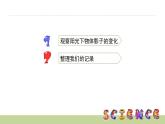 2.3阳光下的影子课件PPT