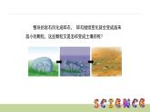 3.4土壤中有什么課件PPT
