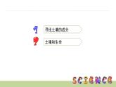 3.4土壤中有什么課件PPT