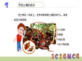 3.4土壤中有什么課件PPT