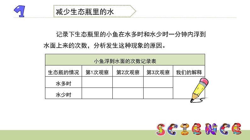 1.6改变生态瓶课件PPT第4页