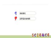 1.4食物链和食物网课件PPT