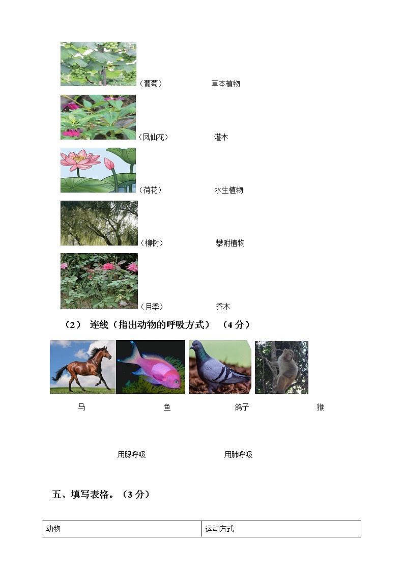 新粤教粤科版科学四年级下册期中试题及答案03