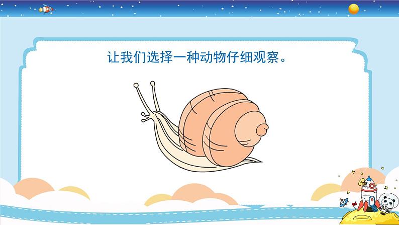 教育科学版小学科学一年级下册  2.3《观察一种动物》课件+教案设计05