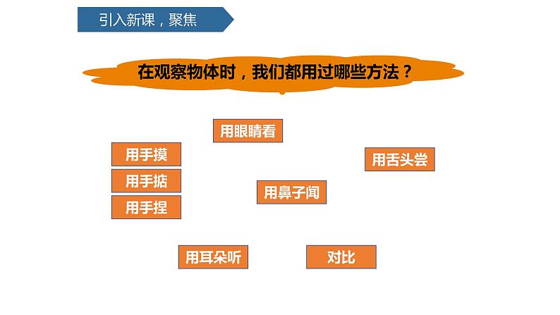 2.2通过感官来发现课件PPT03