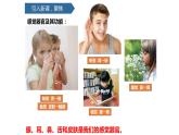 2.2通过感官来发现课件PPT