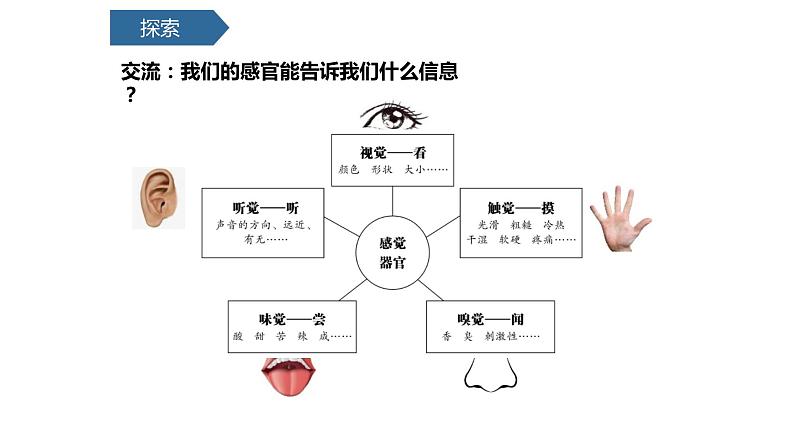 2.2通过感官来发现课件PPT05