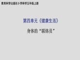 教科版（2017秋）科学五年级上册4.5身体的“联络员”（课件）