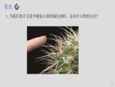 教科版（2017秋）科学五年级上册4.5身体的“联络员”（课件）