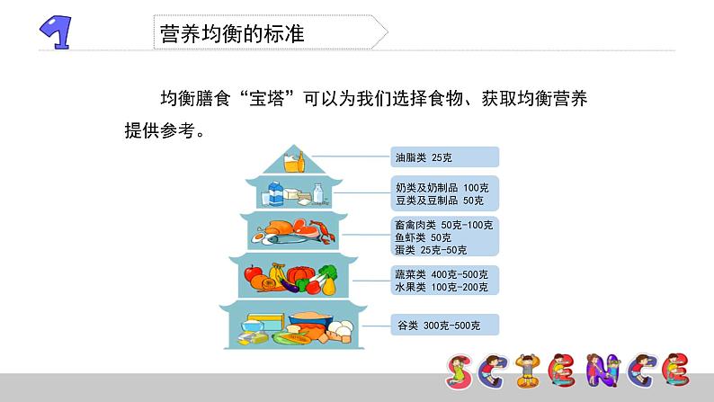 3.3营养要均衡课件PPT第4页