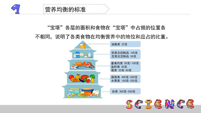 3.3营养要均衡课件PPT第5页