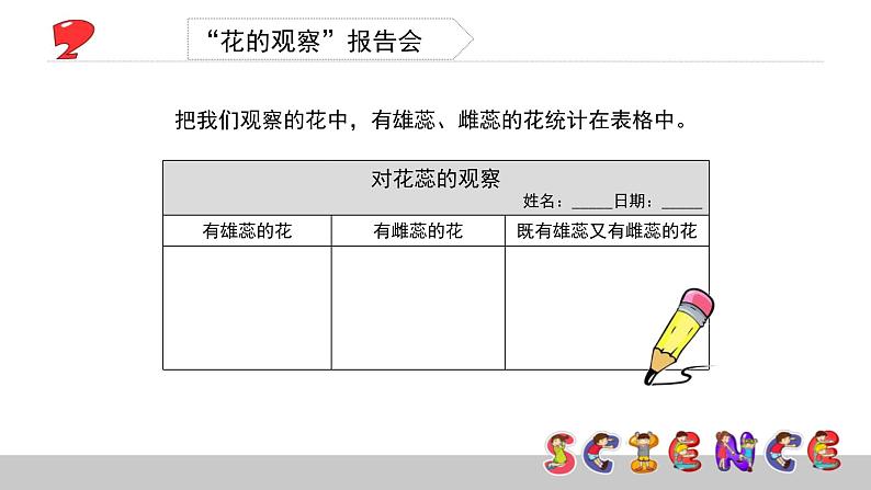 2.2各种各样的花课件PPT第7页