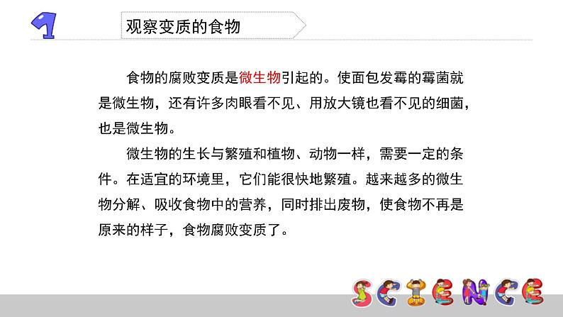 3.6减慢食物变质的速度课件PPT第7页