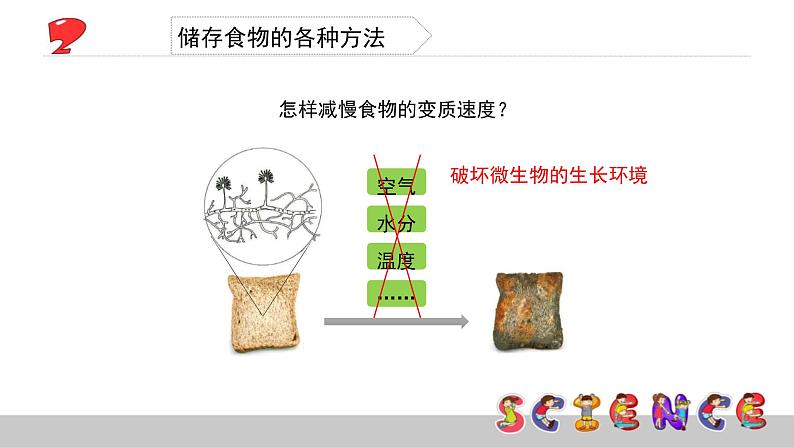 3.6减慢食物变质的速度课件PPT第8页