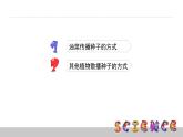 把种子散播到远处PPT课件免费下载