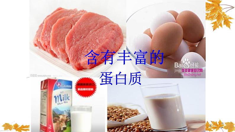 食物中的营养PPT课件免费下载05