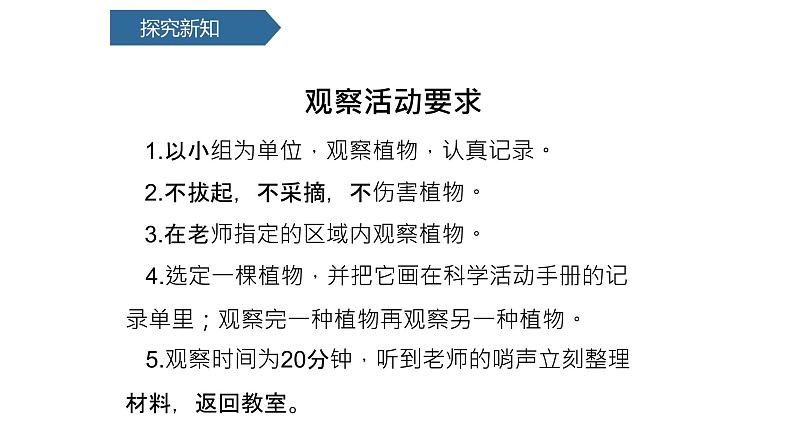 1.6校园中的植物课件PPT第5页