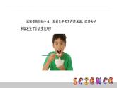 2.3米饭、淀粉和碘酒的变化课件PPT