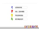 2.3米饭、淀粉和碘酒的变化课件PPT