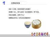 2.3米饭、淀粉和碘酒的变化课件PPT