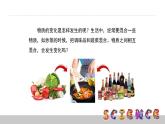 2.2物質(zhì)發(fā)生了什么變化課件PPT