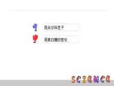 2.2物質(zhì)發(fā)生了什么變化課件PPT