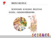 2.8物質(zhì)變化與我們課件PPT