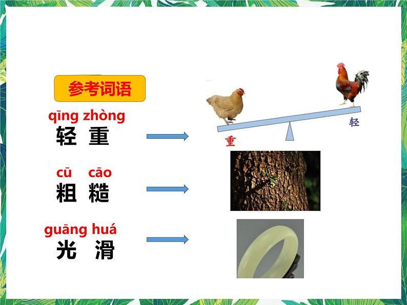 第一课《发现物体的特征》（课件）第4页