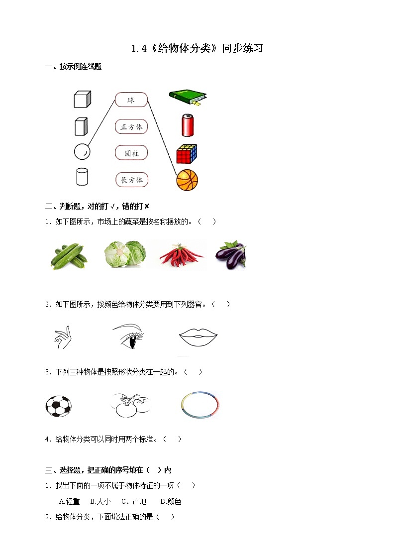 1.4《给物体分类》课件+教案+练习01