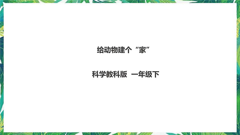 2.4《给动物建个“家”》课件+教案+练习01