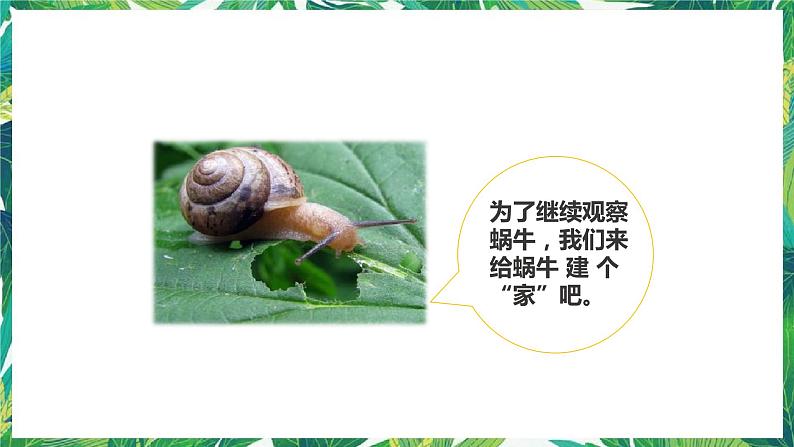 2.4《给动物建个“家”》课件+教案+练习06