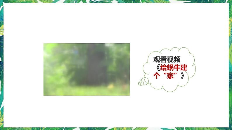 2.4《给动物建个“家”》课件+教案+练习08